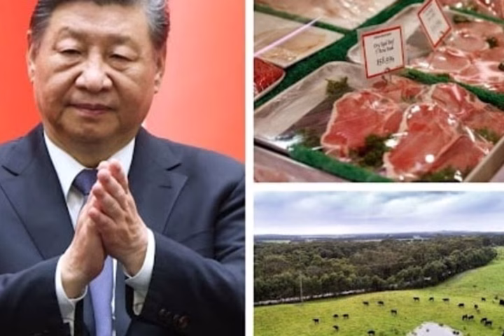 China beef import tariffs