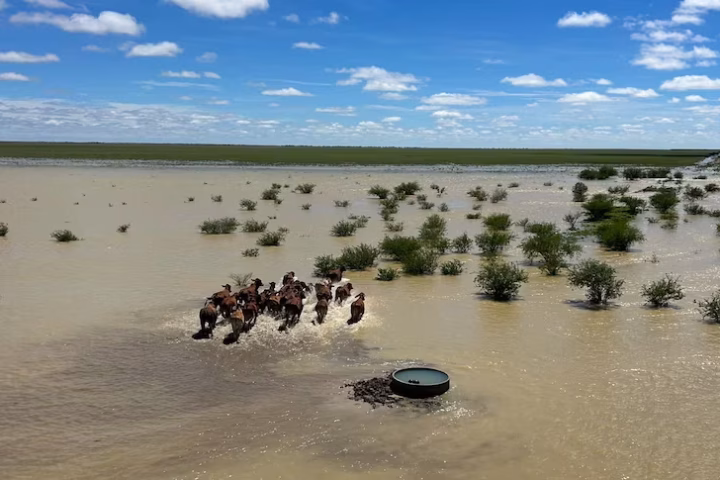 Flood recovery Queensland